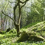 Gaestehaus Steker