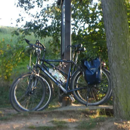 Gaestehaus Steker Guest house 3*