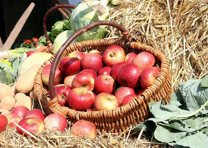 Konukevi Gaestehaus Steker 3*