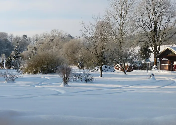 Steker 3* Bad Driburg